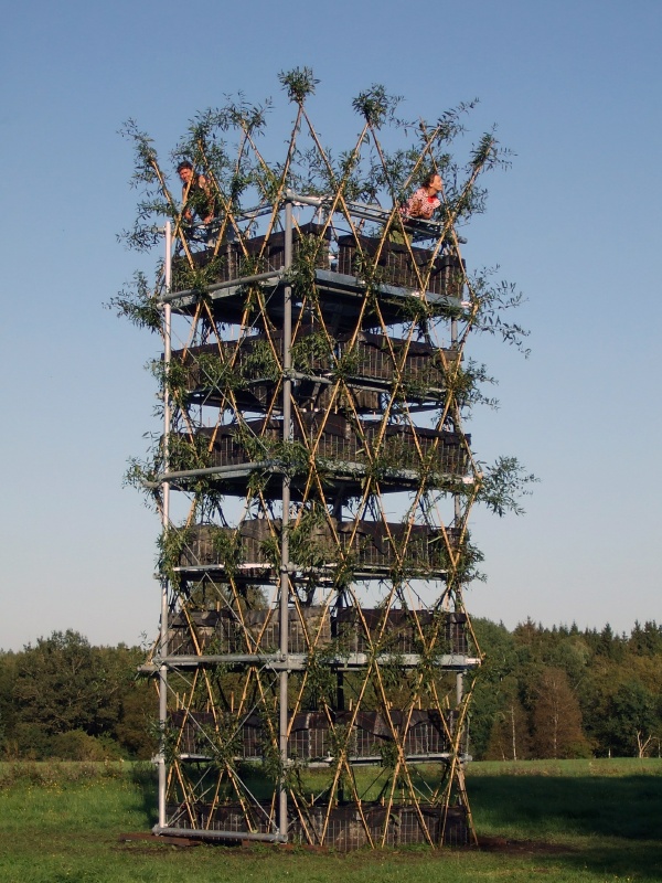 arbo architecture tower made from living trees